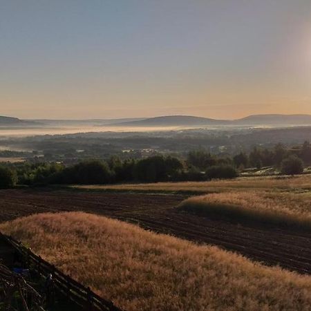 Noclegi U Banysia W Sercu Gor Swietokrzyskich Krajno Pierwsze Luaran gambar